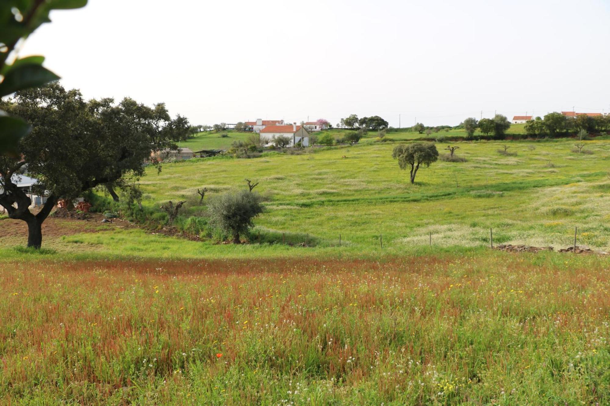 C M Casa De Mares Alojamento Local Casas Novas de Mares Εξωτερικό φωτογραφία